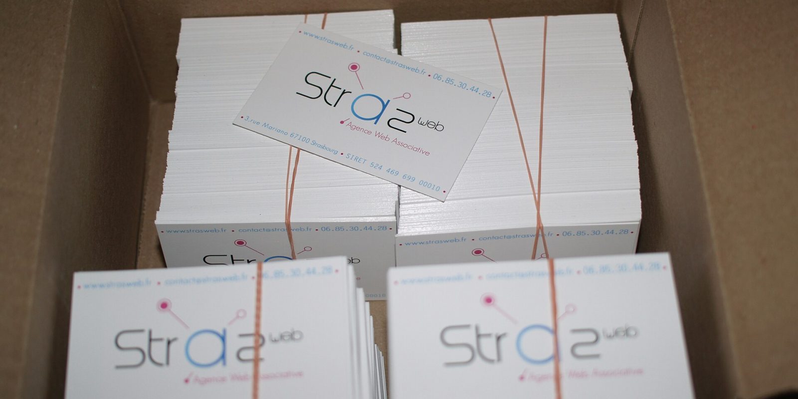 Box of freshly printed business cards in banded stacks