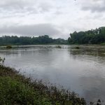 Wide view of the Chaliyar River at Nilambur, Malappuram, framed by green forest